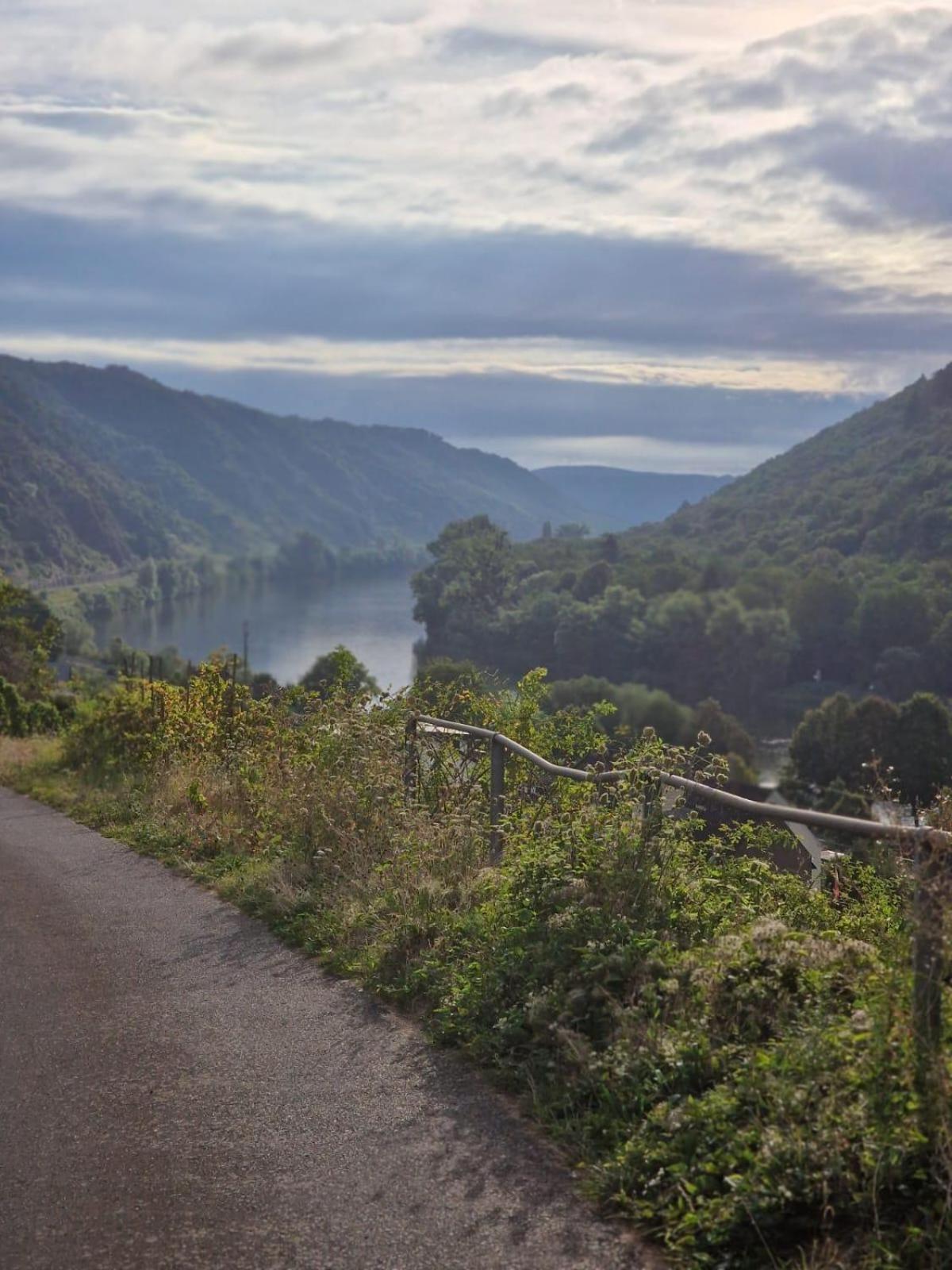 Deni'S Ferienwohnungen Klotten Buitenkant foto