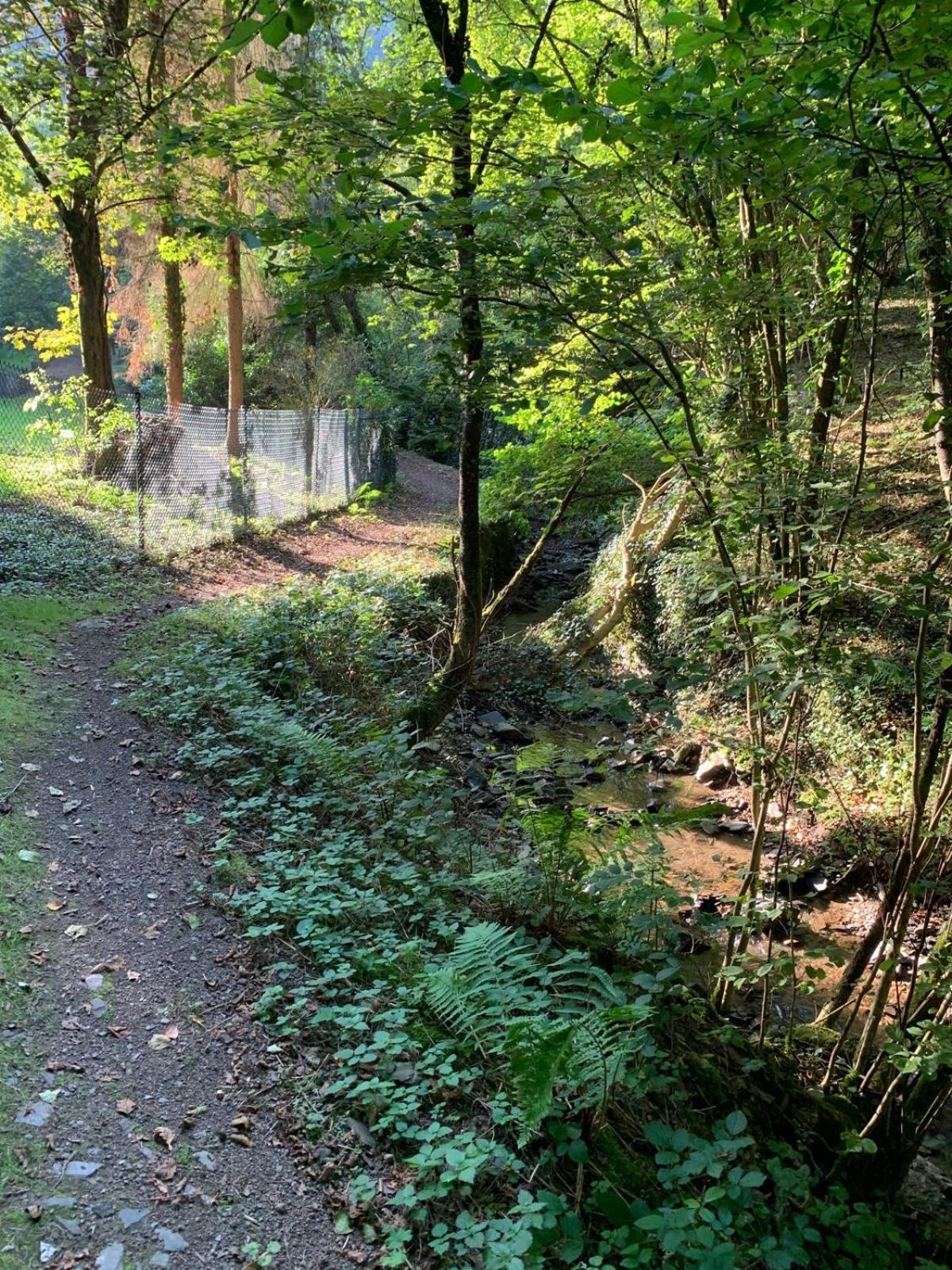 Deni'S Ferienwohnungen Klotten Buitenkant foto