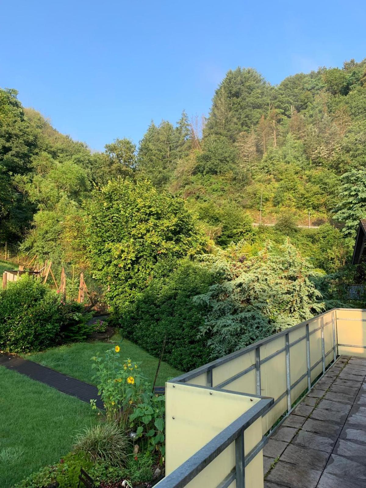 Deni'S Ferienwohnungen Klotten Buitenkant foto