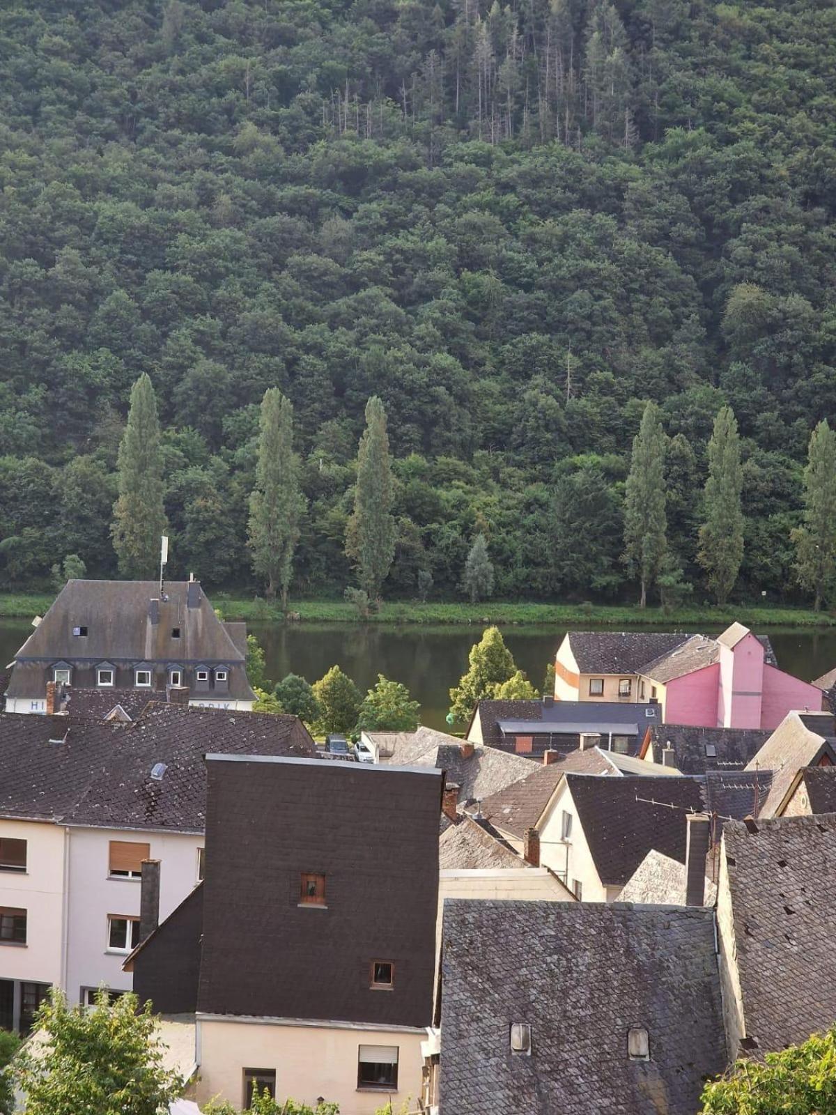 Deni'S Ferienwohnungen Klotten Buitenkant foto