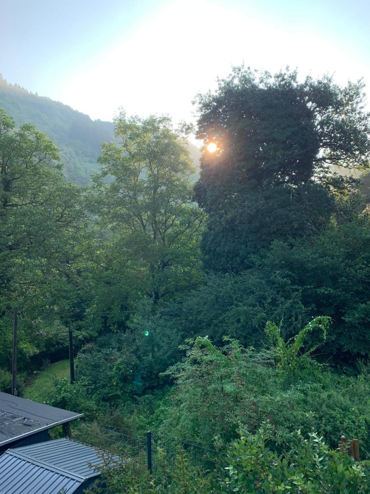 Deni'S Ferienwohnungen Klotten Buitenkant foto